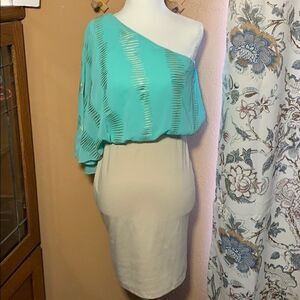 NWOT ViJo Couture One Shoulder Dress